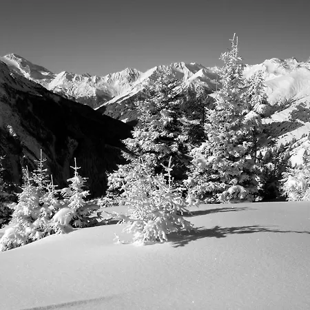 Lexner ゲストハウス 4*