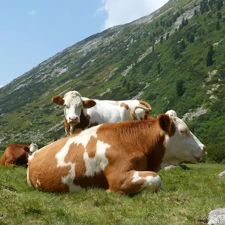 ゲストハウス Lexner 4*