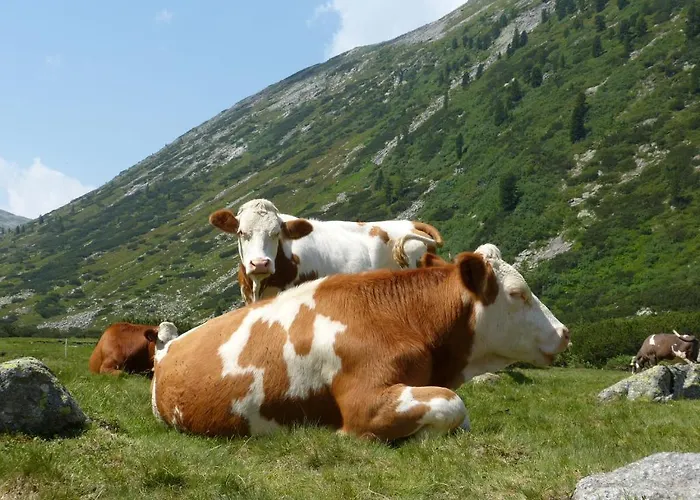 Maison d'hôtes Lexner 4*