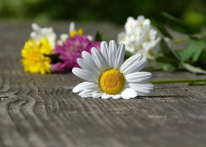 Lexner Maison d'hôtes 4*