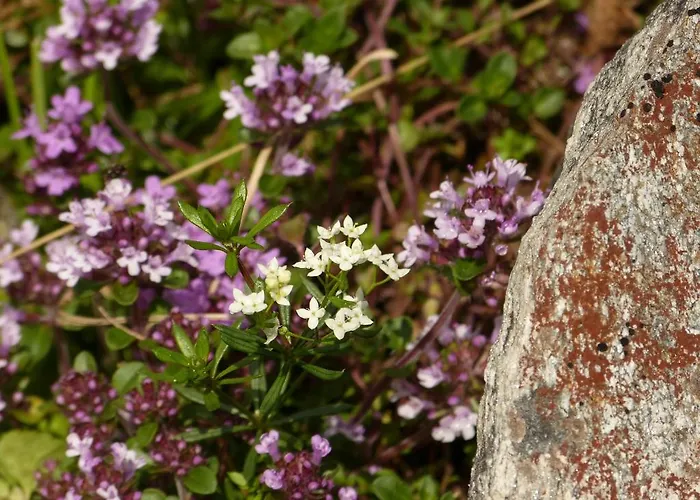 Lexner Maison d'hôtes